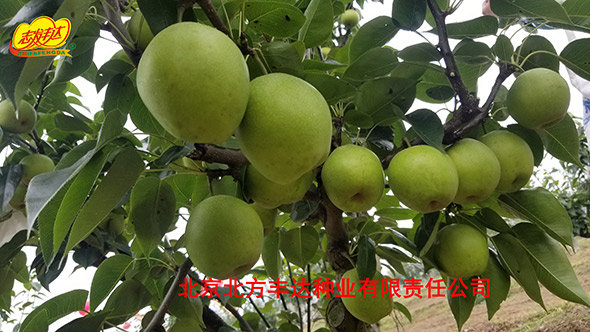 �������������ҵ���޹�˾